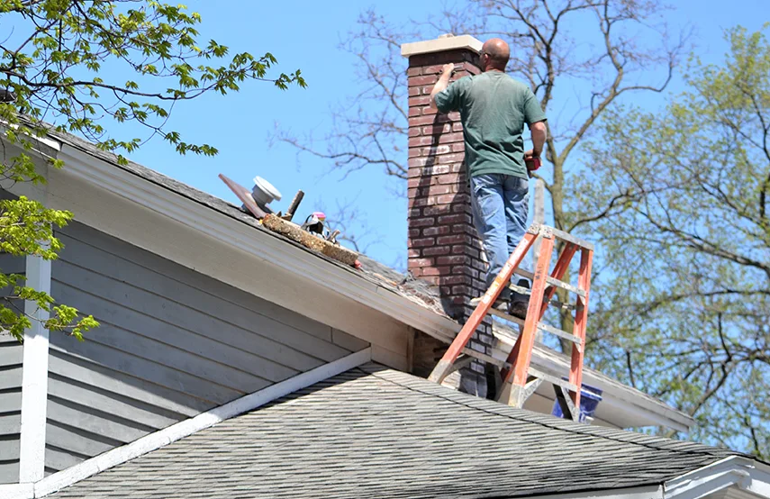 Chimney & Fireplace Inspections Services in Arnold, MD